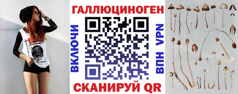Псилоцибиновые грибы MAGIC MUSHROOMS Сланцы