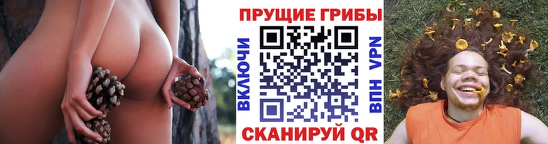 сайты даркнета формула  Сланцы  Псилоцибиновые грибы Psilocybine cubensis 