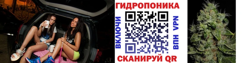 Каннабис Ganja Сланцы
